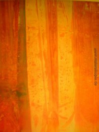 Rosa Flutter Rosa Flutter