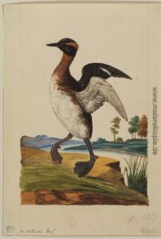 Wasser-Vogel von einem Fluss balanciert