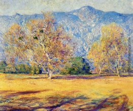 Die Platanen, Pasadena