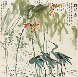 Cranes unter Lotus