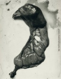 Huhn-Teile Huhn-Teile