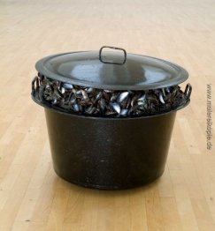 Großen Topf mit Muscheln Großen Topf mit Muscheln