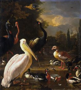 Ein Pelikan und andere Vögel nahe einem Pool (Die Schwimmende Fe