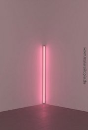 Rosa aus der Ecke (an Jasper Johns) Rosa aus der Ecke (an Jasper Johns)