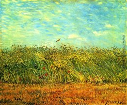 Weizen-Feld mit einer Lerche