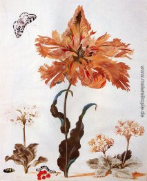 Ein Papageien-Tulpe, Auriculas und Rote Johannisbeeren, mit eine Ein Papageien-Tulpe, Auriculas und Rote Johannisbeeren, mit eine