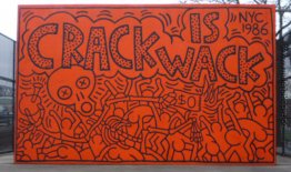 Crack ist Wack