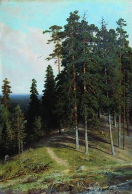 Wald von der Berg