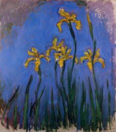 Gelbe Iris Gelbe Iris