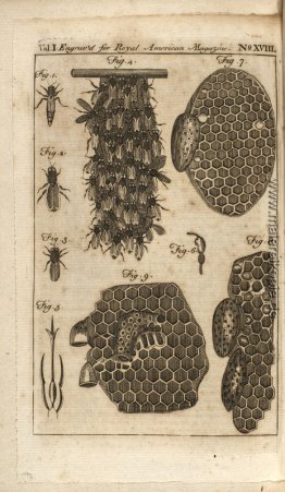 Bees