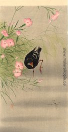 Gallinule Vogel und Wasser Strider Gallinule Vogel und Wasser Strider