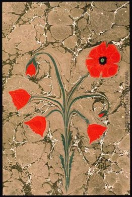 Necmeddin Ebru