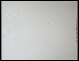 Random Movement Felder (V 72-78 S)