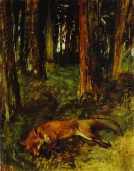 Tote Fuchs im Unterholz liegen