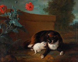 Chatte et chaton, et Chien et perroquet