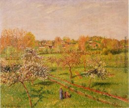 Morgen, Blühen von Apfelbäumen, Eragny