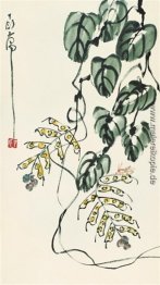 Gras und Insekten Gras und Insekten