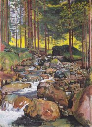 Wald mit Bergbach Wald mit Bergbach