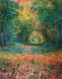 Das Unterholz im Wald von Saint-Germain