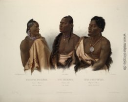 Ein Missouri Indian, ein Oto indischen und der Chef des Puncas,