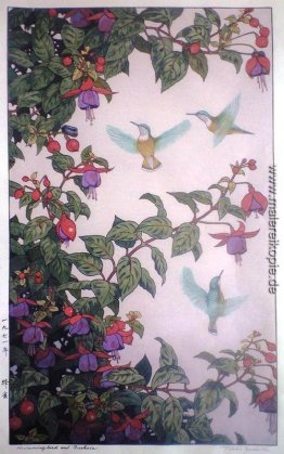 Hummingbird und Fuchsia