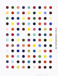 Flumequine Flumequine