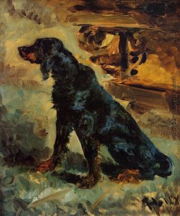 Dun, Gordon Setter Zugehörigkeit zu Comte Alphonse de Toulouse-L