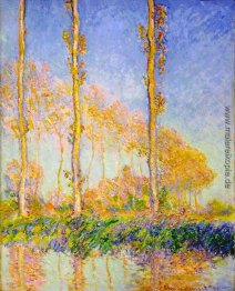 Pappeln, Herbst, Rosa Effect