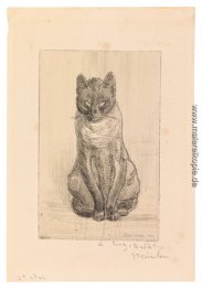 Kleine Katze Sitzen Kleine Katze Sitzen