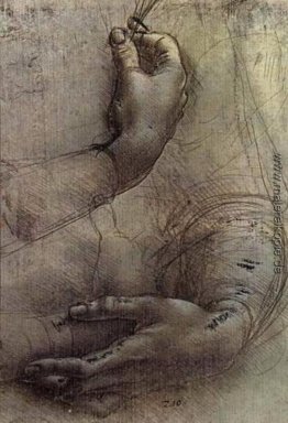 Studium der Arme und Hände, eine Skizze von da Vinci im Volksmun