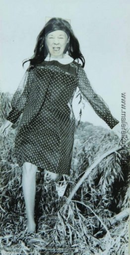 Lächerlich Portrait (Polka-Punkt-Kleid)