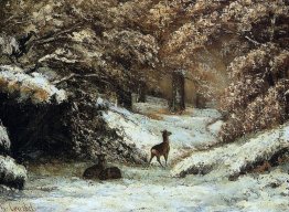 Deer Zuflucht im Winter