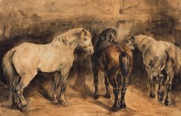 Drei Pferde in ihrem Stall