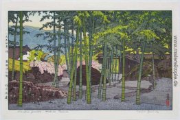 Bamboo Garden, Hakone Museum