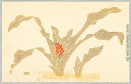 Omoto - Sacred Lily