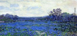 Bereich der Bluebonnets