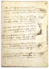 Codex auf dem Flug der Vögel