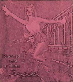 Ich träumte, ich ging zum Teufel in meinem Maiden Bra (pink) Ich träumte, ich ging zum Teufel in meinem Maiden Bra (pink)