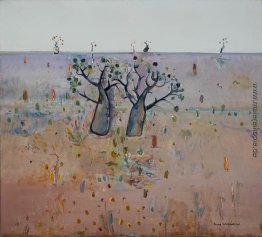Boab Bäumen, Kimberley