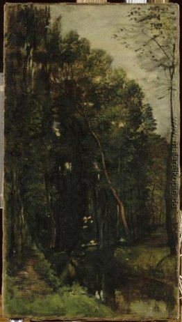 Der Wald und Bach