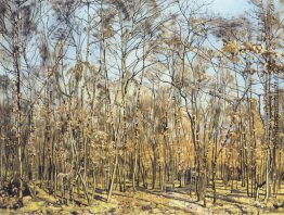Der Buchenwald
