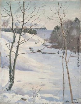 Winter-Landschaft mit dem Zug
