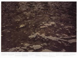 Untitled (aus der Serie Still Water (Die Themse, zum Beispiel))