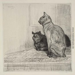 Zwei Katzen auf einem Schrank Zwei Katzen auf einem Schrank