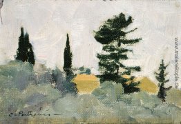 Landschaft mit Zypressen