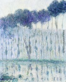 Pappeln am Ufer der Eure