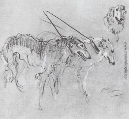 Greyhounds königliche Jagd