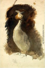 Gefüllte Schneehuhn Gefüllte Schneehuhn