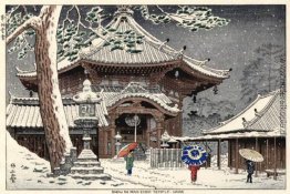 Schnee in Nan-endo-Tempel, Nara