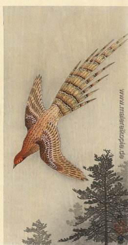 Quail über den Wald